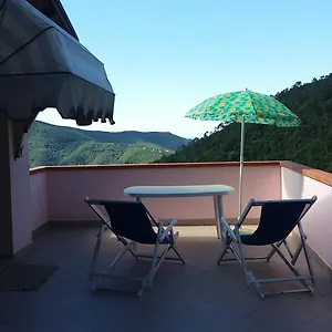 Olivella Caminata N 41d , Casarza Ligure Italia